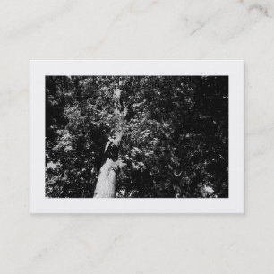 Tarjeta De Visita Árbol plano de Londres B&W, Mini foto