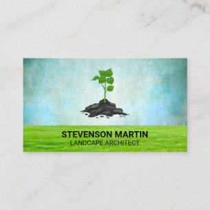 Tarjeta De Visita Árbol plantado   Césped de hierba   Paisaje