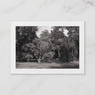 Tarjeta De Visita Árboles, Bute Park, Cardiff - Cálido BW (Bordeado)