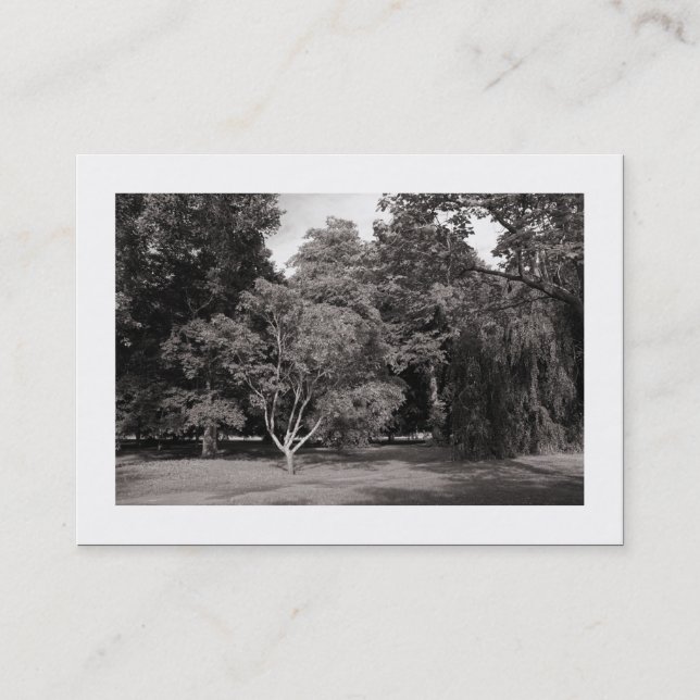 Tarjeta De Visita Árboles, Bute Park, Cardiff - Cálido BW (Bordeado) (Anverso)