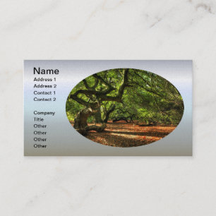 Tarjeta De Visita Árboles cocidos de Lavizzara