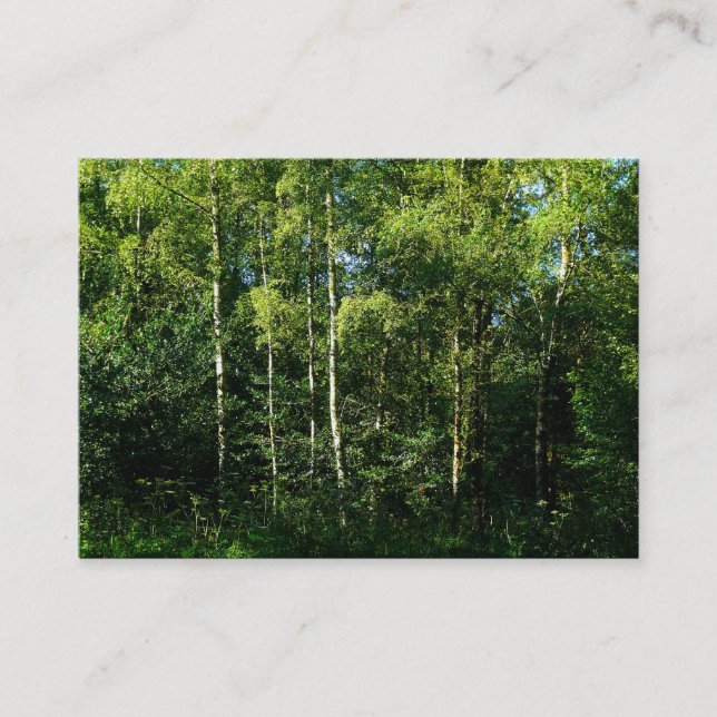 Tarjeta De Visita Árboles de birch plateado, mini foto (Anverso)