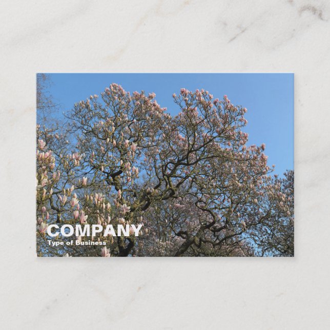 Tarjeta De Visita Árboles de magnolia en flor (Anverso)