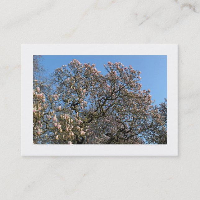 Tarjeta De Visita Árboles de magnolia en flor (bordeados) (Anverso)