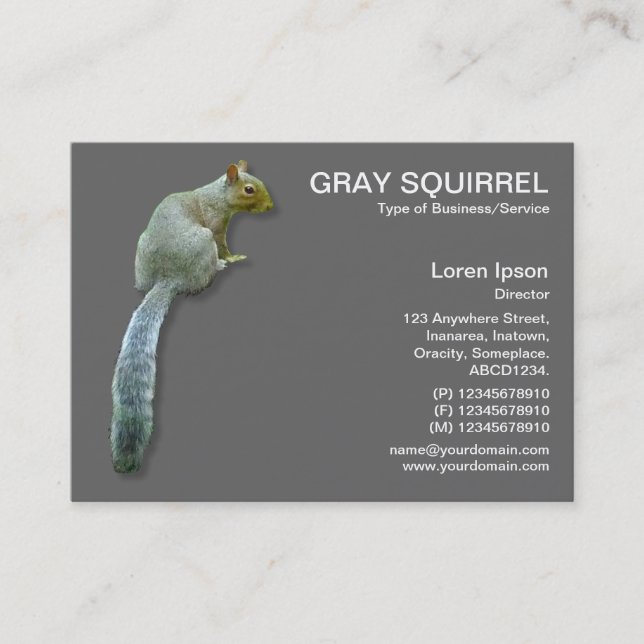 Tarjeta De Visita Ardilla - Gris (Anverso)