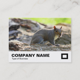 Tarjeta De Visita Ardilla gris