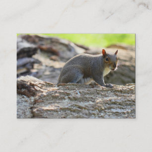 Tarjeta De Visita Ardilla gris