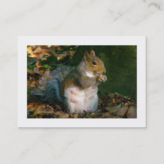 Tarjeta De Visita Ardilla gris (bordeada) (Anverso)