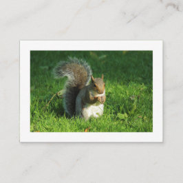 Tarjeta De Visita Ardilla gris, Parque Bute, Cardiff (Bordeado)