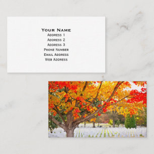 Tarjeta De Visita Arlington National Cemetery in Autumn