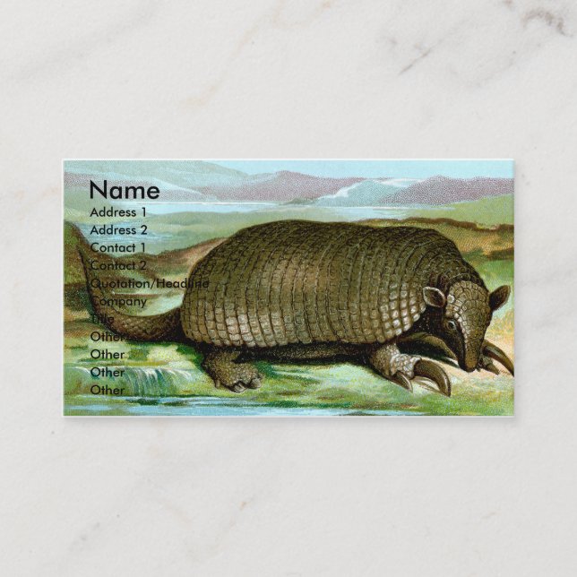 Tarjeta De Visita Armadillo gigante (Anverso)