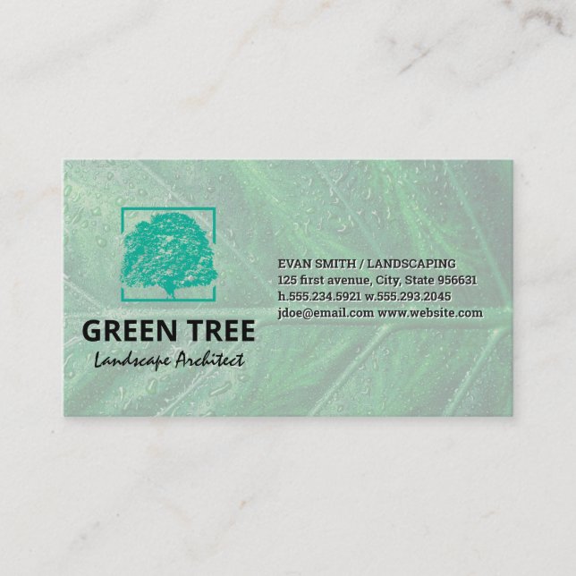 Tarjeta De Visita Arquitecto de paisajes | Árbol (Anverso)