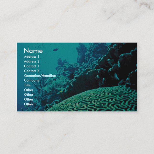 Tarjeta De Visita Arrecife de coral (Anverso)