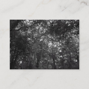 Tarjeta De Visita Arriba en los árboles, mini foto