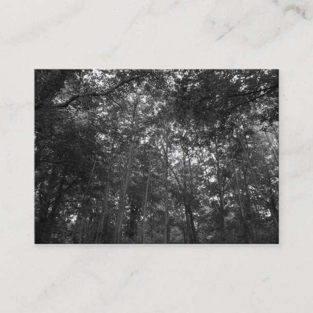 Tarjeta De Visita Arriba en los árboles, mini foto (Anverso)