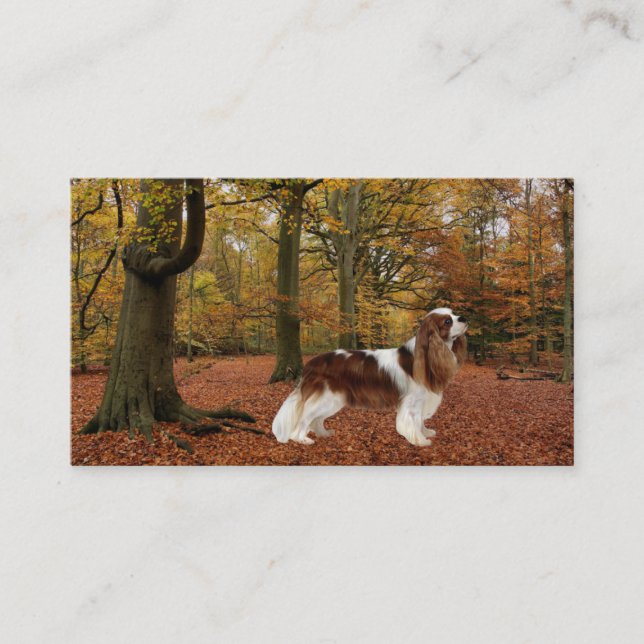 Tarjeta de visita arrogante de Breede del perro de (Anverso)