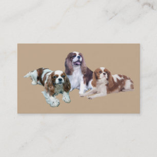 Tarjeta de visita arrogante de Breede del perro de