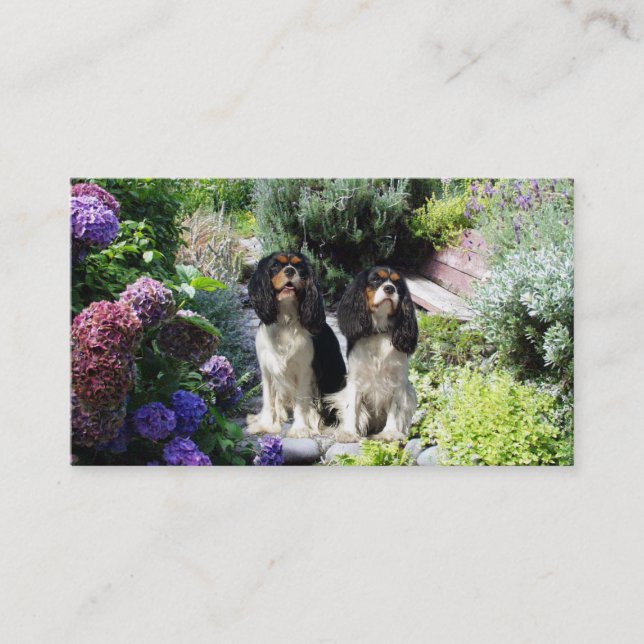 Tarjeta de visita arrogante de Breede del perro de (Anverso)