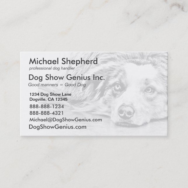 Tarjeta De Visita Arte australiano del perro de pastor (Anverso)