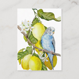 Tarjeta De Visita Arte botánico en acuarela de periquito azul en lim