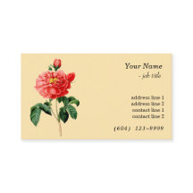 Arte botánico vintage rojo rosa flor amarillo