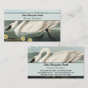 Tarjeta De Visita Arte de Nenúfar Blanco Audubon Vintage
