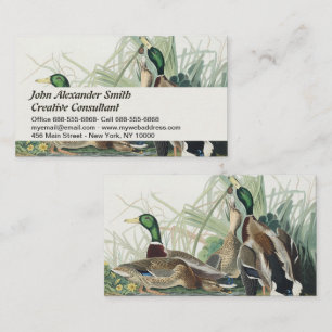 Tarjeta De Visita Arte de vida silvestre del pato silbón de Audubon