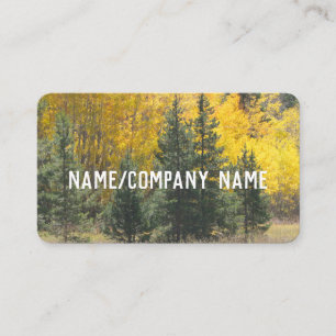 Tarjeta De Visita arte natural pinar y aspen caída foto paisaje