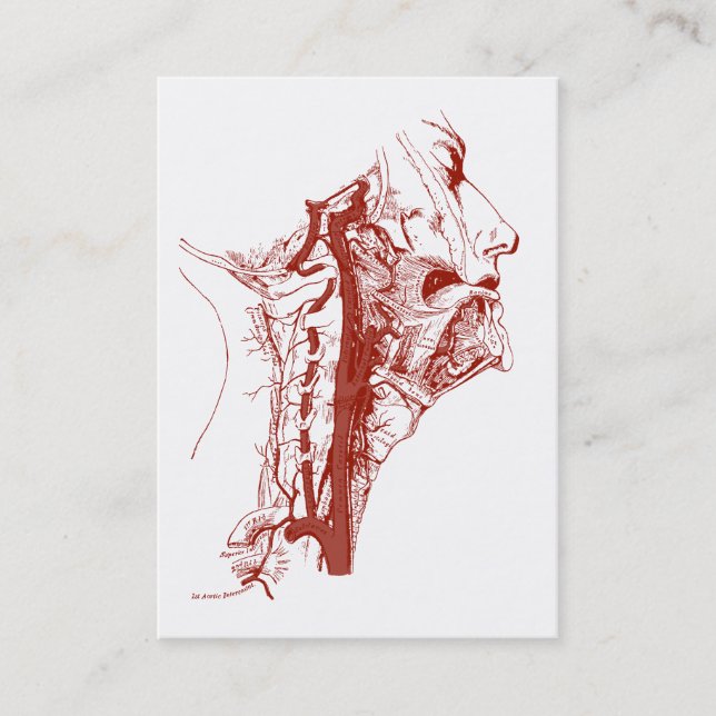 Tarjeta De Visita Arterias vertebrales humanas del viejo ilustracion (Anverso)