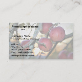 Tarjeta De Visita Artist/Photographer/Digital Art