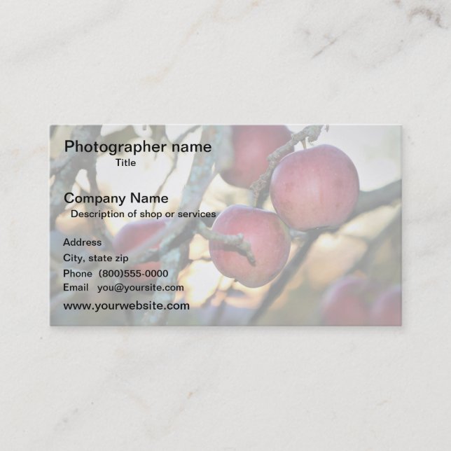 Tarjeta De Visita Artist/Photographer/Digital Art (Anverso)