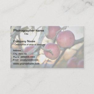 Tarjeta De Visita Artista/Fotógrafo/Arte digital