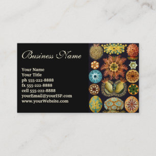 Tarjeta De Visita Ascidiae de Ernst Haeckel, Animales Marinos Vintag