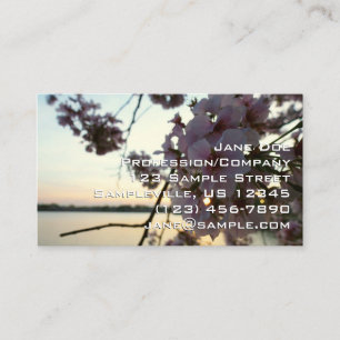 Tarjeta De Visita Atardecer de Flor de Cerezo en Washington DC