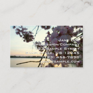 Tarjeta De Visita Atardecer de Flor de Cerezo en Washington DC