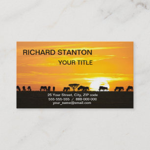 Tarjeta De Visita Atardecer en Serengeti