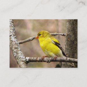Tarjeta De Visita ATC del Goldfinch