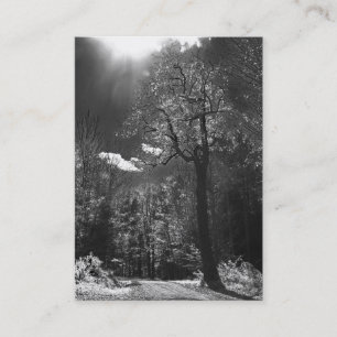 Tarjeta De Visita ATC iluminado del árbol