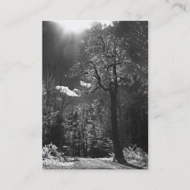 Tarjeta De Visita ATC iluminado del árbol (Anverso)