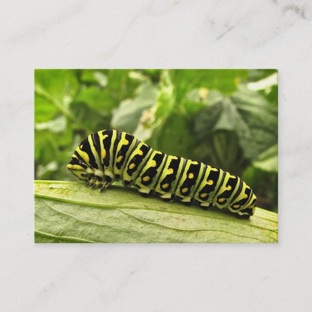 Tarjeta De Visita ATC negro de Swallowtail Caterpillar (Anverso)