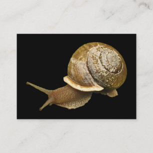 Tarjeta De Visita ATC para el Snail