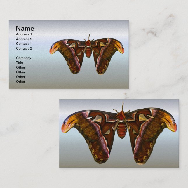 Tarjeta De Visita Atlas Moth - cabeza de serpiente (Anverso / Reverso)