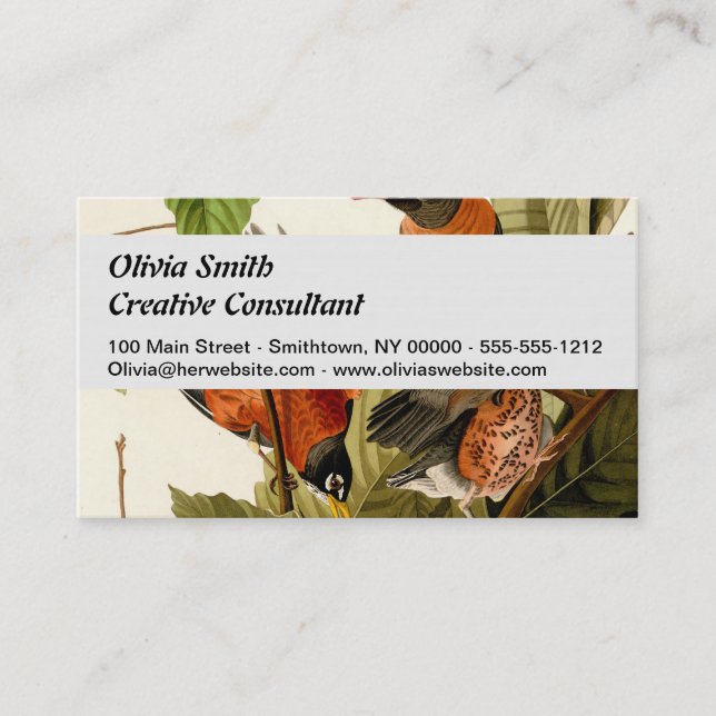 Tarjeta De Visita Audubon American Robin Wildlife Bird Ilustracion (Anverso)