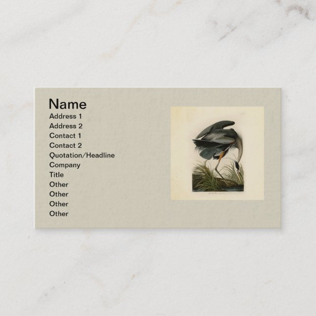 Tarjeta De Visita Audubon Great Blue Heron Marsh Bird (Anverso)