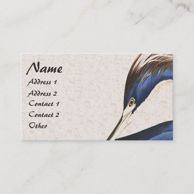 Tarjeta De Visita Audubon Heron Bird Wildlife Animal Business Card (Anverso)