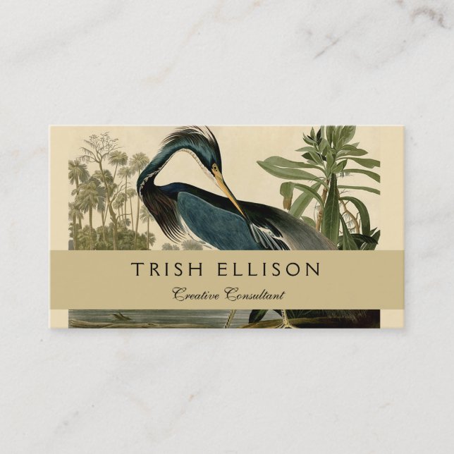 Tarjeta De Visita Audubon Louisiana Heron Birds America Art (Anverso)