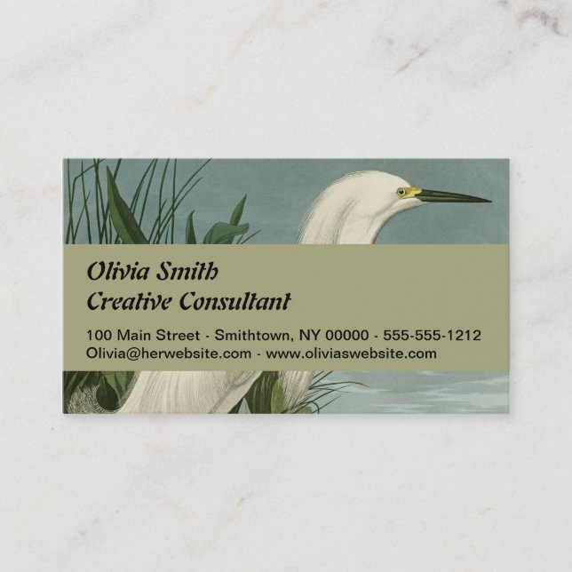 Tarjeta De Visita Audubon Snowy Heron White Egret Bird Birding (Anverso)