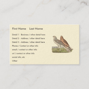 Tarjeta De Visita Ave NY Harrier (Halcón de cola anillada)