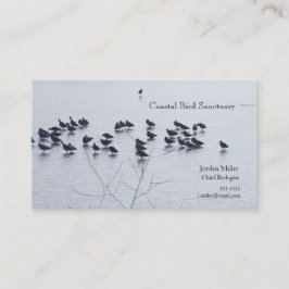 Tarjeta De Visita Aves cortas en un lago
