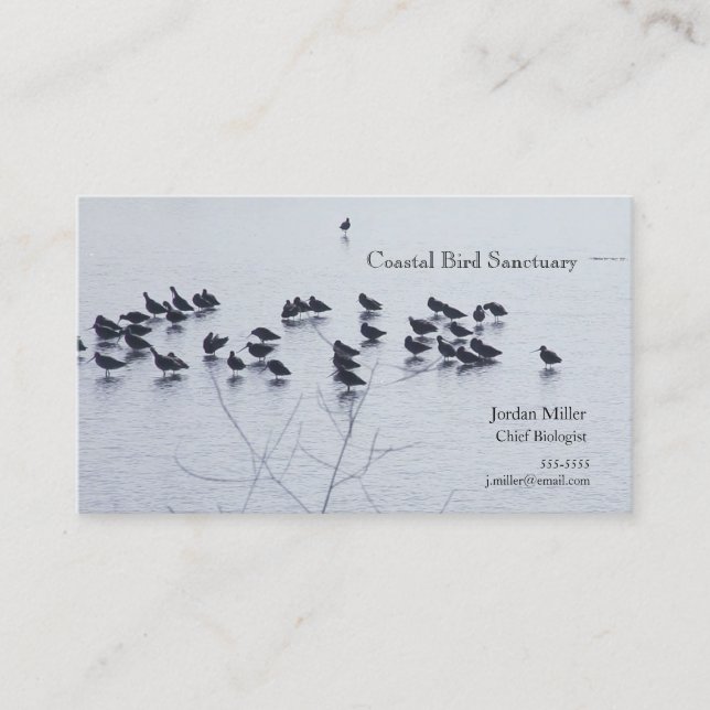 Tarjeta De Visita Aves cortas en un lago (Anverso)